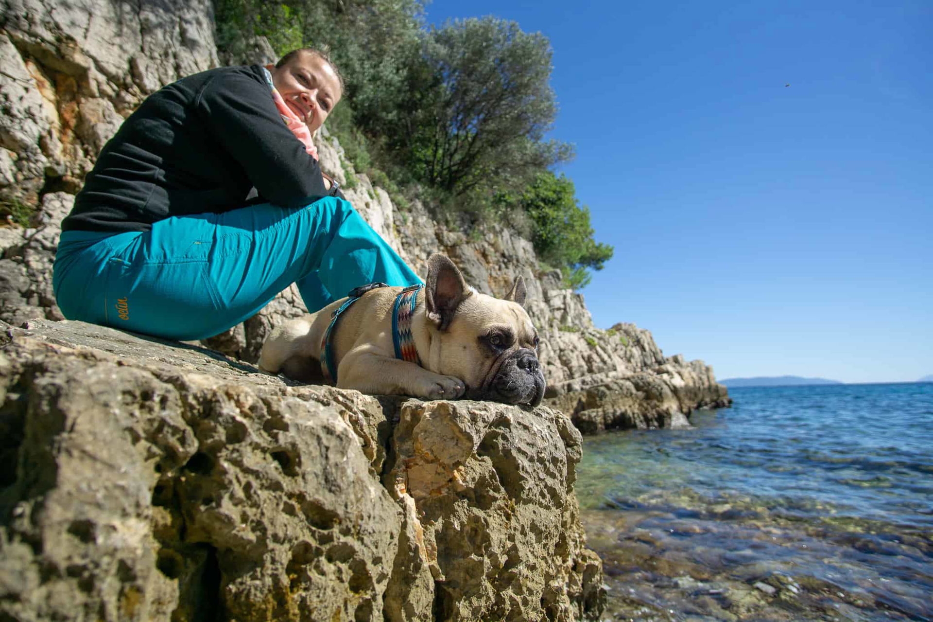 Urlaub Hund Kroatien Hundereise Rabac